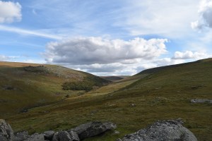 shelstone-tor-2