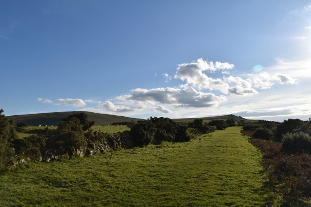 sourton-tor-29