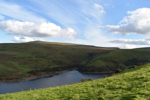 south-down-1