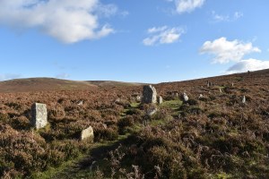 challacombe-stone-row-1