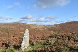 challacombe-stone-row-3