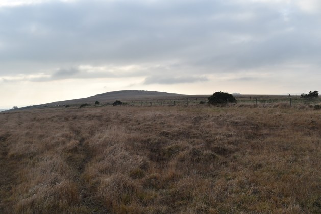 gibbet-hill-4