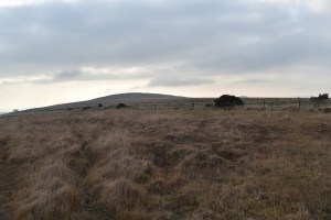 gibbet-hill-4