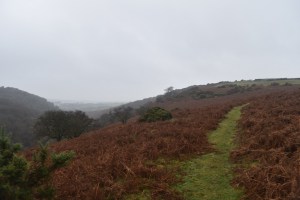 cleave-tor-1