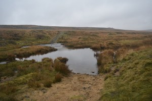 east-hill-23