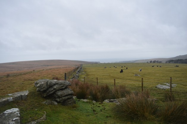 hart-tor-okehampton-2