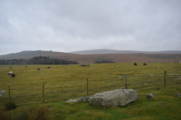 hart-tor-okehampton-5