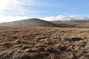 metheral-hill-4