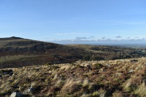 ottery-tor-1