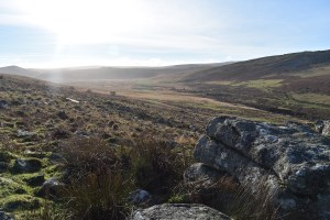 ottery-tor-2