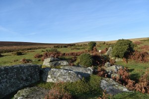 shilstone-tor-2