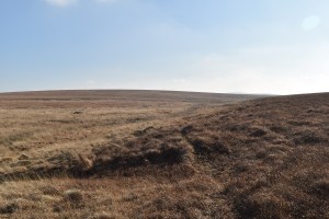 blacklane-mire-1