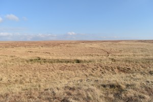 blacklane-mire-2