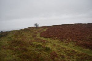 cranbrook-castle-1