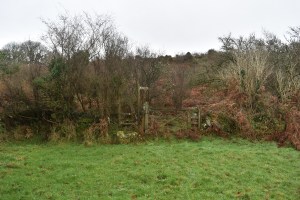 hingston-rocks-1