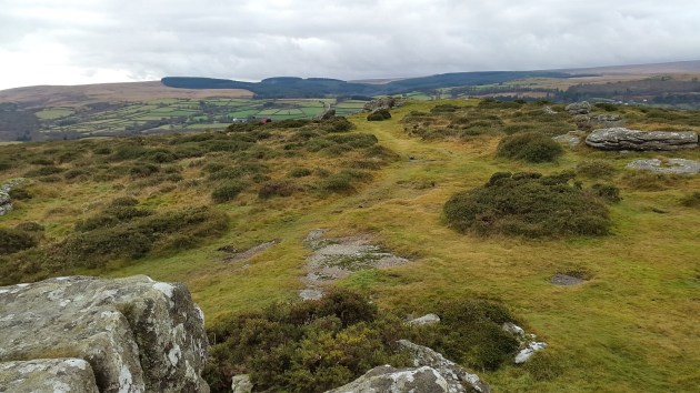 moretonhampstead-and-meldon-hill-15