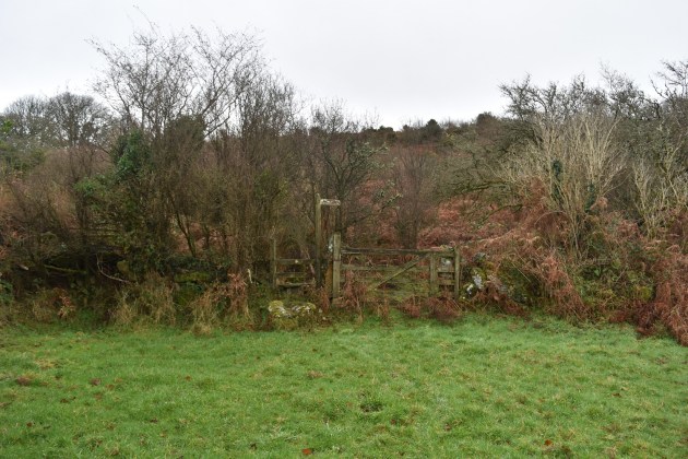 moretonhampstead-and-meldon-hill-8