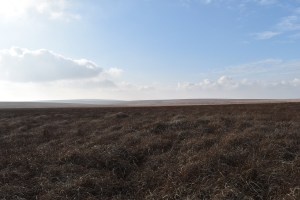 nakers-hill-1