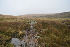 plym-steps-1