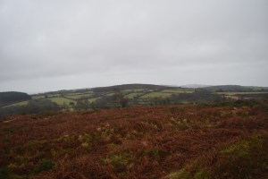 uppacott-down-1