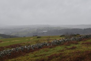 uppacott-down-2