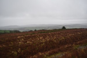 uppacott-down-3