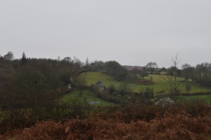 willingstone-rock-1