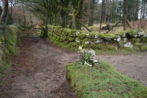 jays-grave-1
