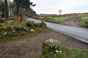 jays-grave-2
