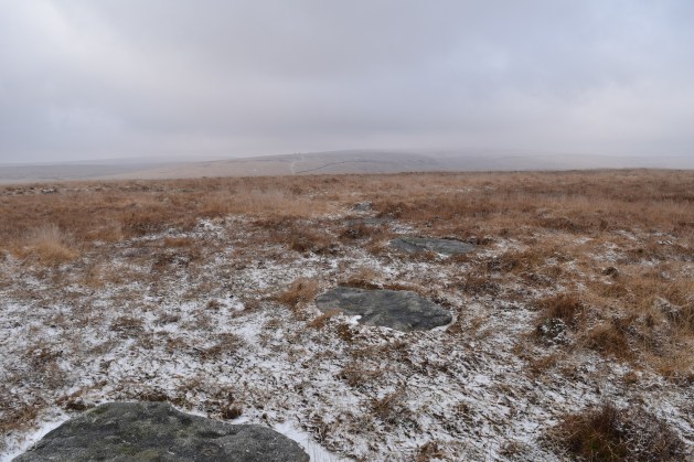 sittaford-stone-circle-2