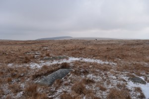 sittaford-stone-circle-4