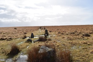 ringmoor-3