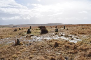 ringmoor-4