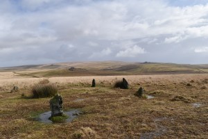 ringmoor-5