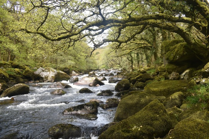Dartmeet 5
