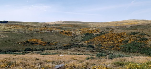 east-dart-waterfall-3